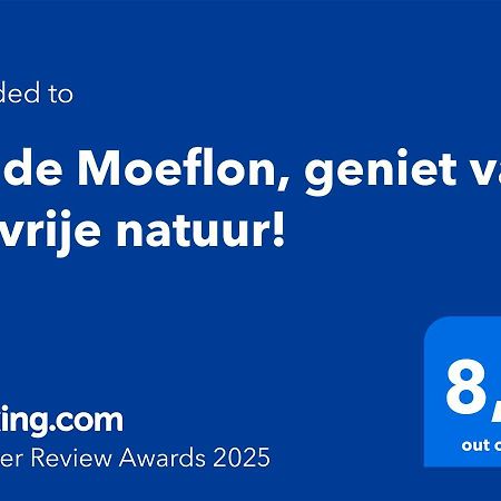 Wilde Moeflon, Geniet Van De Vrije Natuur! Otterlo Extérieur photo
