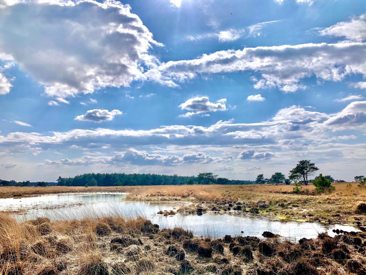 Wilde Moeflon, Geniet Van De Vrije Natuur! Otterlo Extérieur photo
