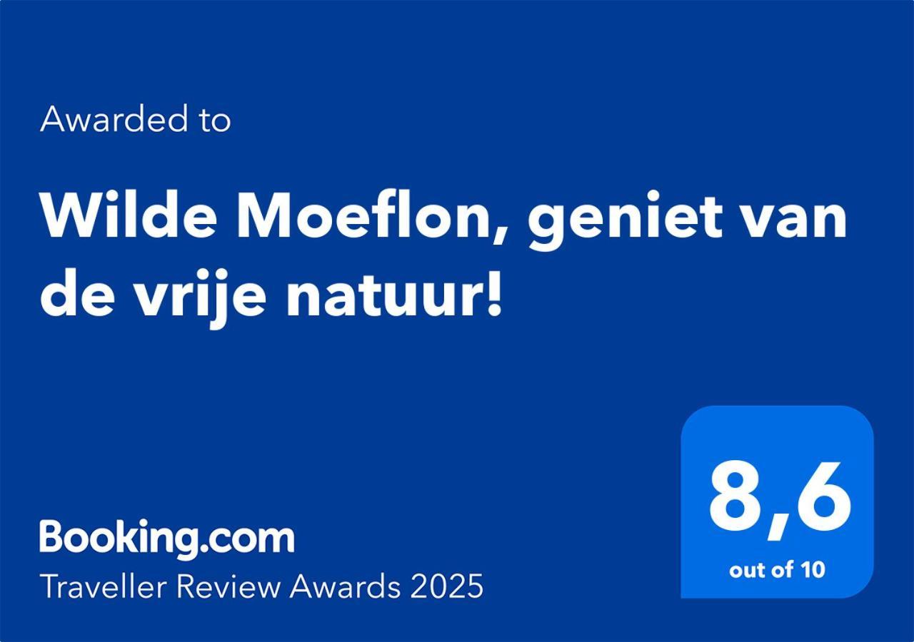 Wilde Moeflon, Geniet Van De Vrije Natuur! Otterlo Extérieur photo